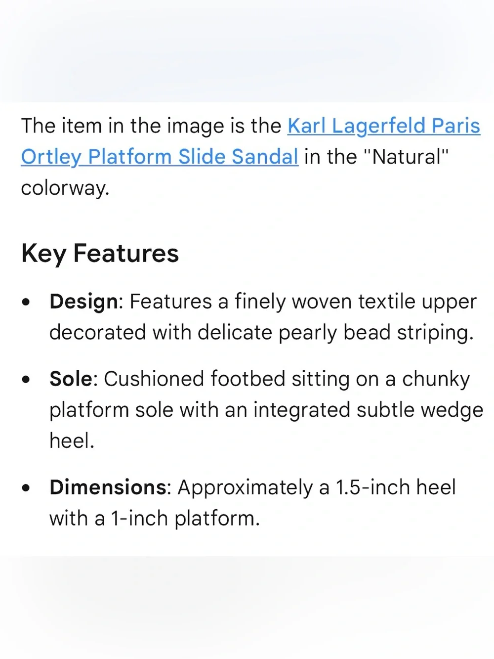 Karl Lagerfeld Paris Ortley Platform Slide Sandal (NWOT)